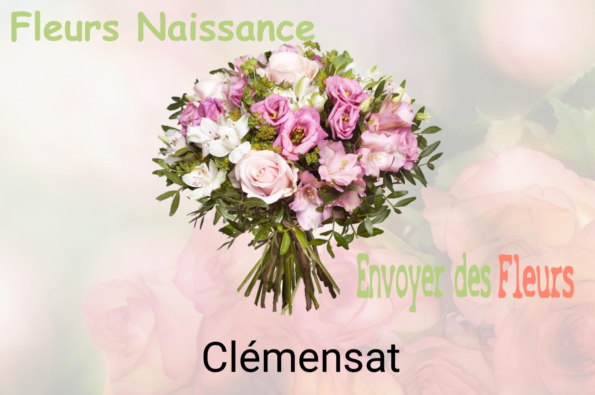 Bouquet de fleurs de naissance livré à Clémensat